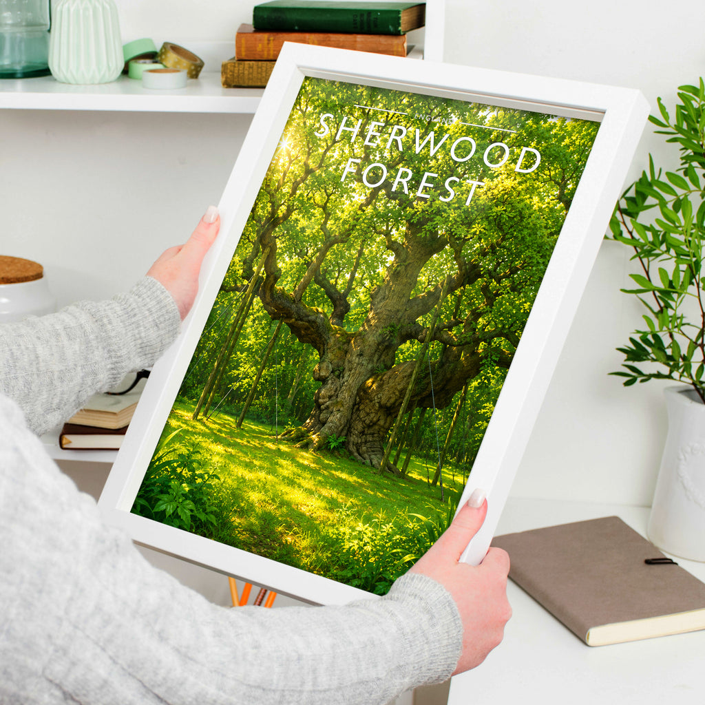 Sherwood Forest Travel Poster in a white frame, held to show scale