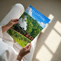 Welshpool #2 Travel Poster - A4 print in hand